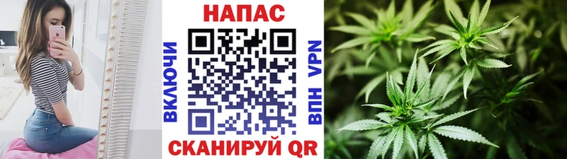 Конопля Bruce Banner Новохопёрск